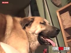 Adorable little golden-haired wealthy love muffins like feeling your puppy's tongue in her attractive, sultry cleft.